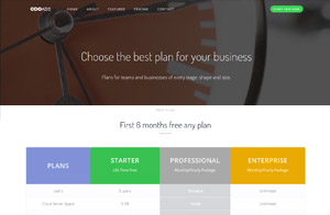 Our pricing